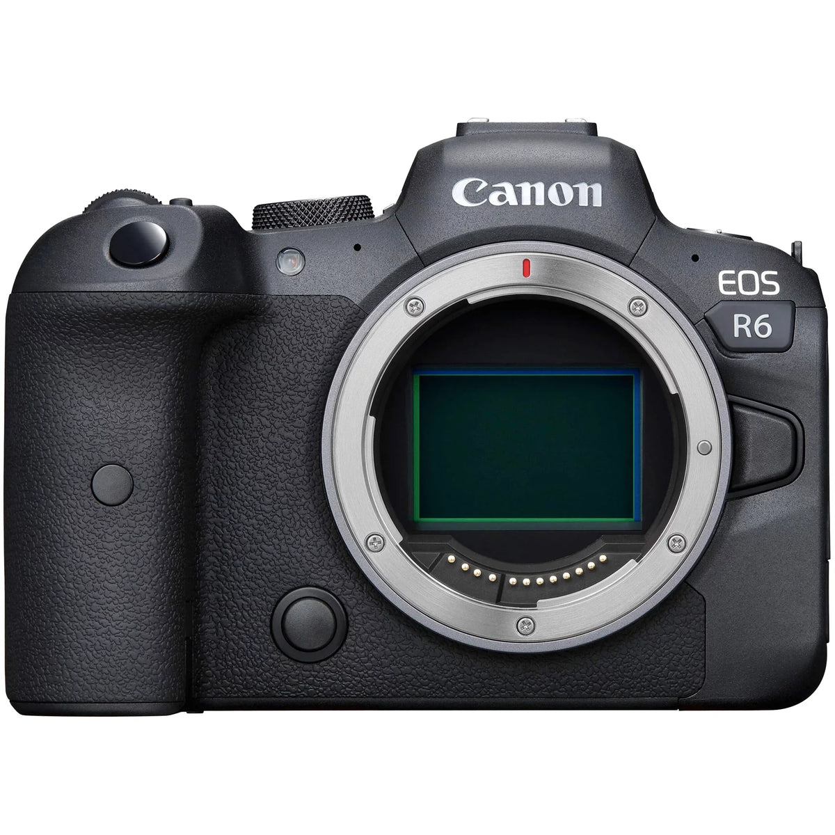 EOS R6 Mirrorless Digital Camera (Body Only) with EF Mount Adapter + 64GB SanDisk + Case + ZeeTech Accessory