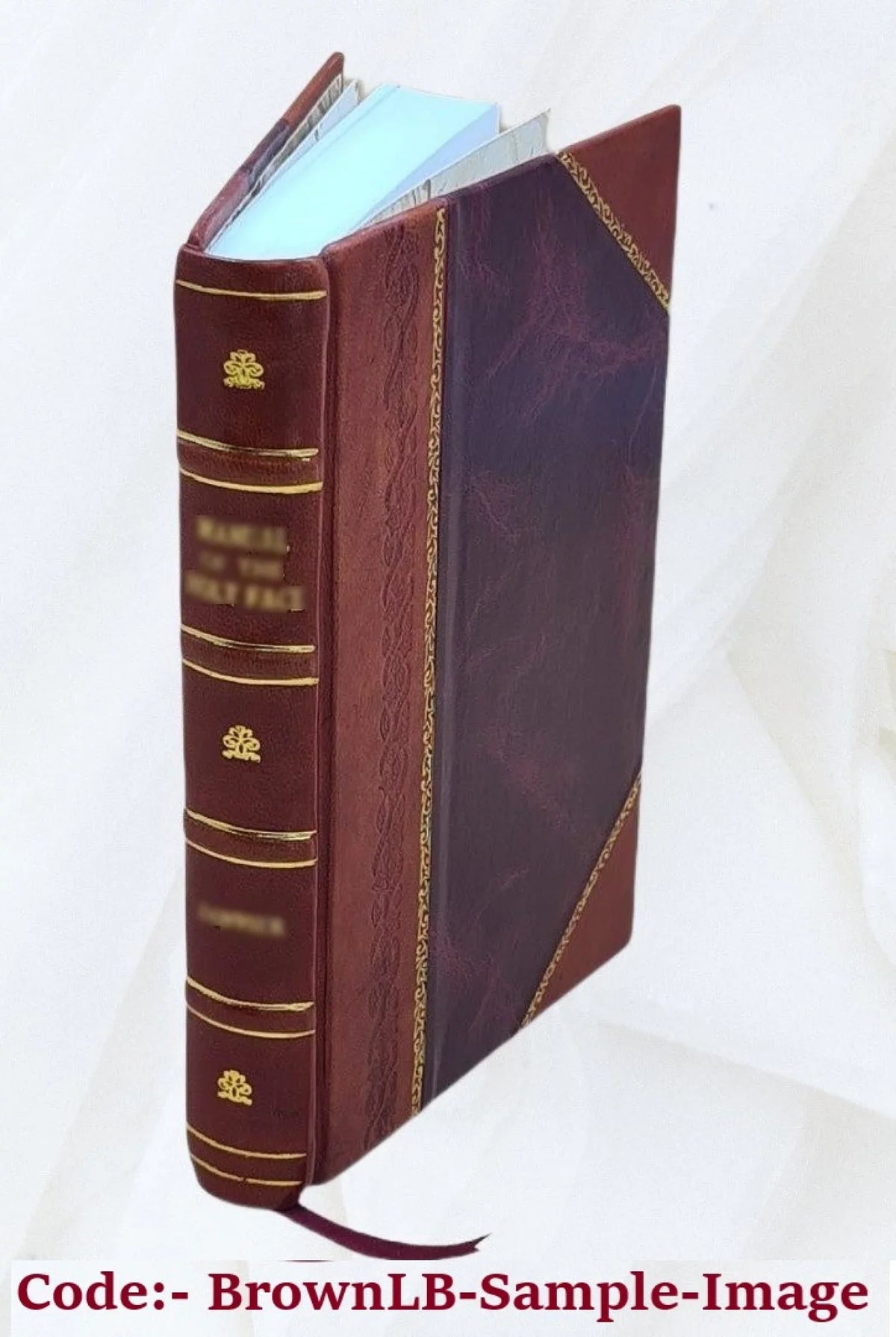Poemata 1635 [Leather Bound]. 8. Barberini nunc Vrbani PP. Maphaei S.R.E card