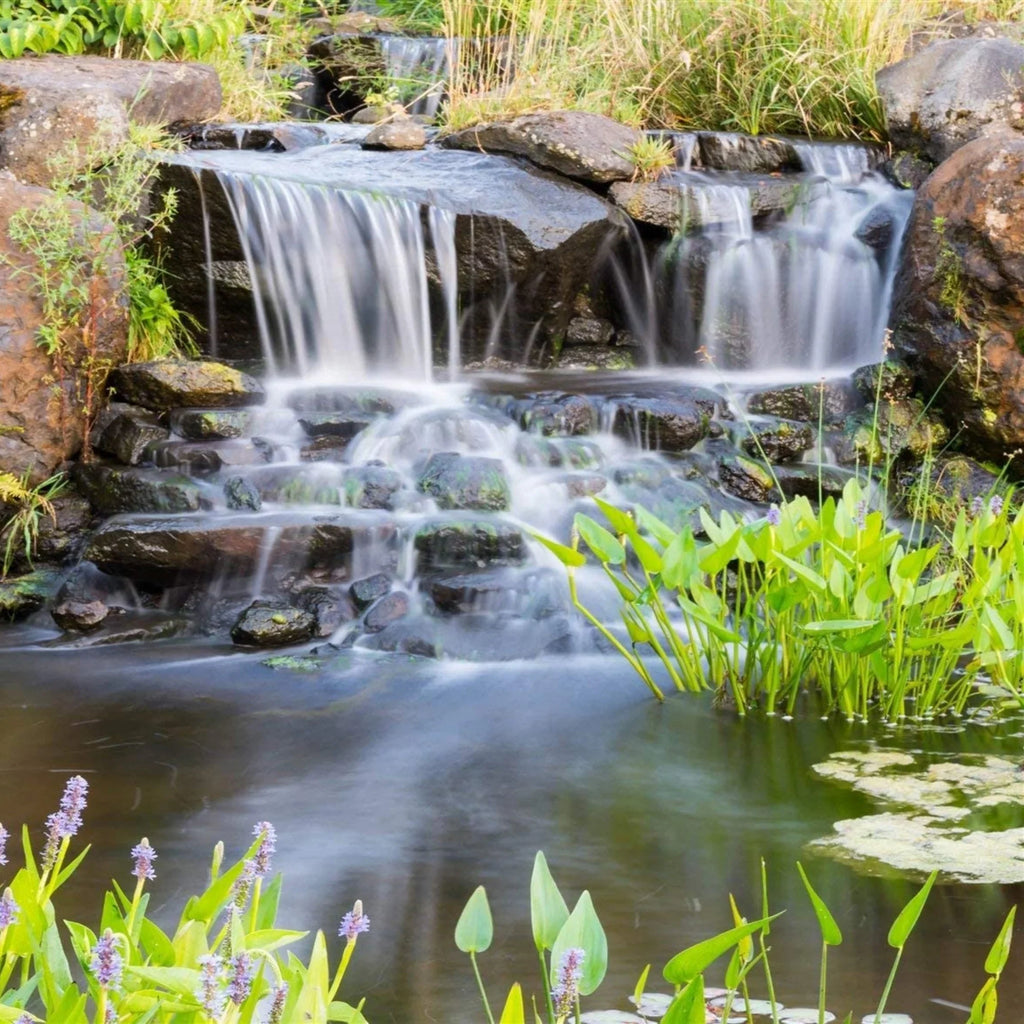 HALF OFF PONDS Piranha Series 4,200 GPH Direct Drive Submersible Pump for aqua Gardens, Ponds and Waterfalls - PN-4200