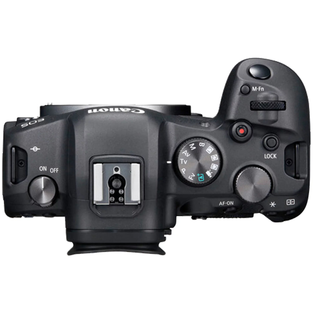 EOS R6 Mirrorless Digital Camera (Body Only) with EF Mount Adapter + 64GB SanDisk + Case + ZeeTech Accessory