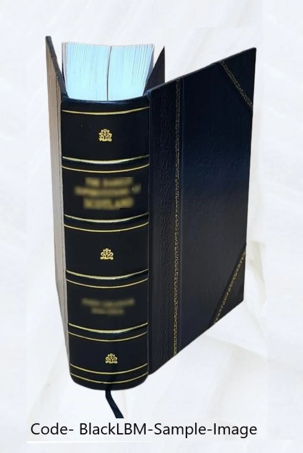 1 1709 [Leather Bound]. Paulo Maria Cauvino de Nicæa .. Disputationes theologicæ in primam partem summæ theologiæ Sancti Thomæ, editæ ab admodum reverendo patre Fr