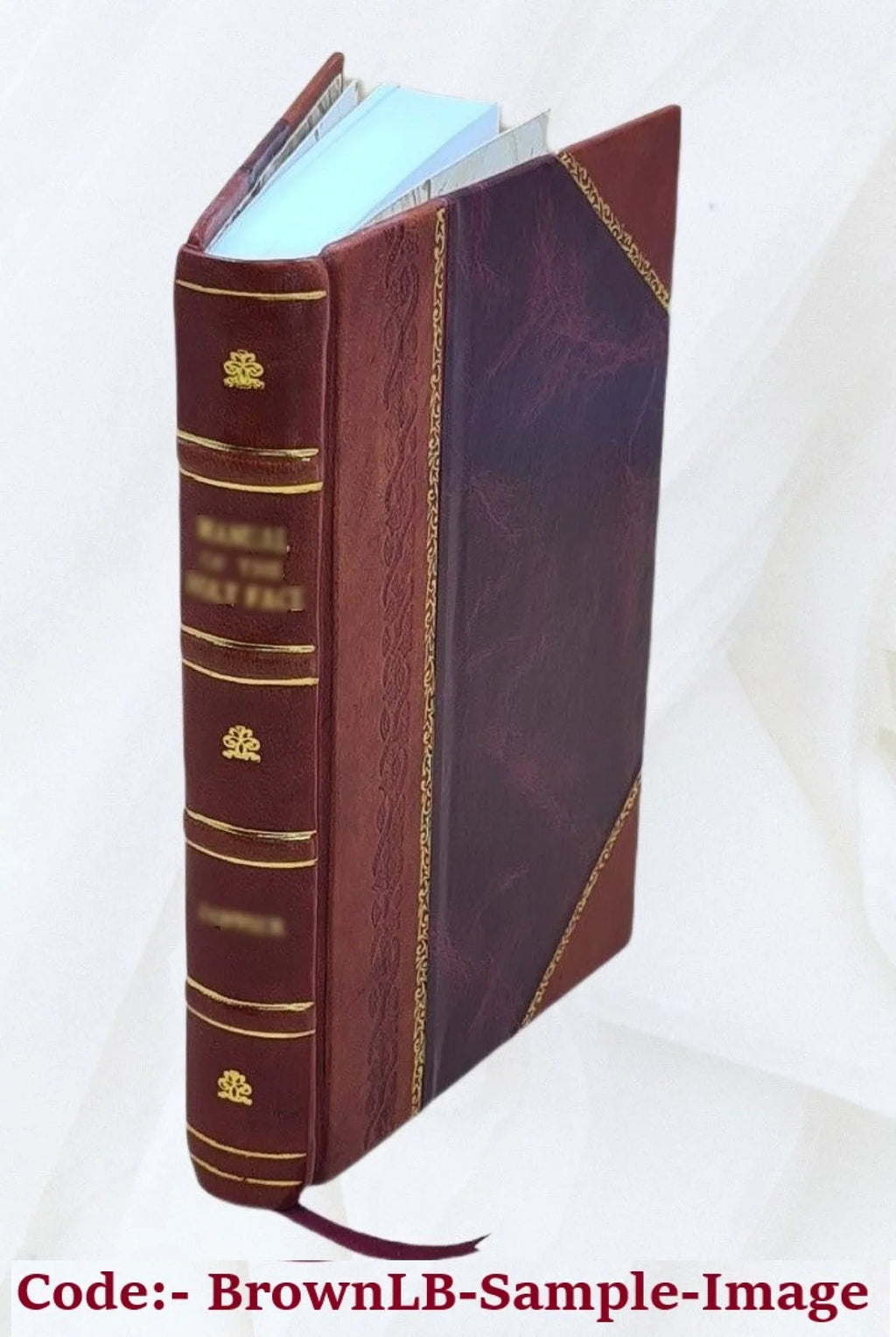 Volume v.25 (1925-26) 1926 [Leather Bound]. The Frater of Psi Omega