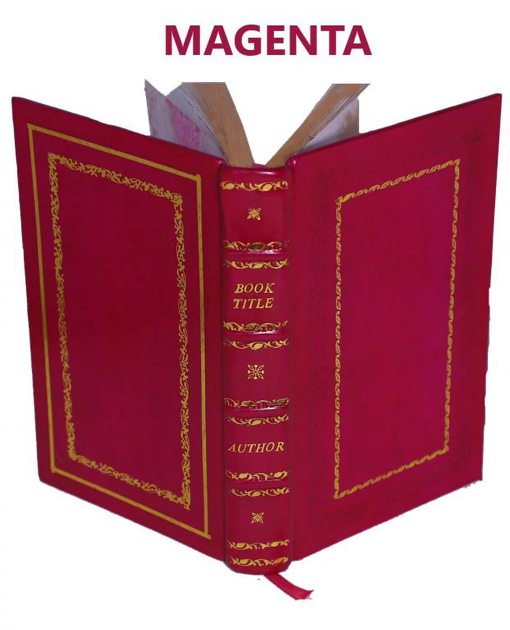 The filtration of public moisture-supplies 1905 [Premium Leather Bound]