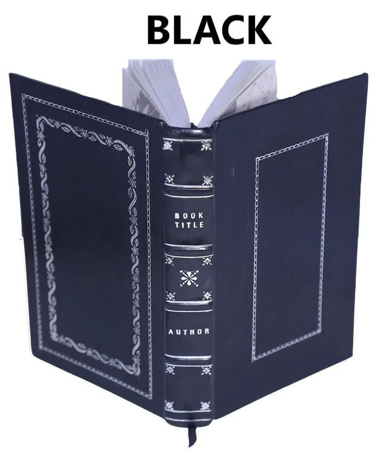 The filtration of public moisture-supplies 1905 [Premium Leather Bound]