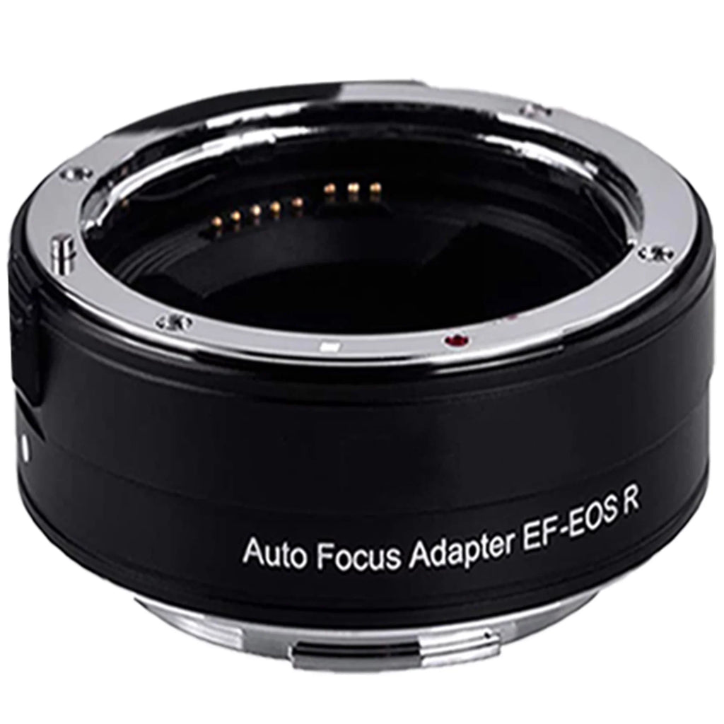 EOS R6 Mirrorless Digital Camera (Body Only) with EF Mount Adapter + 64GB SanDisk + Case + ZeeTech Accessory
