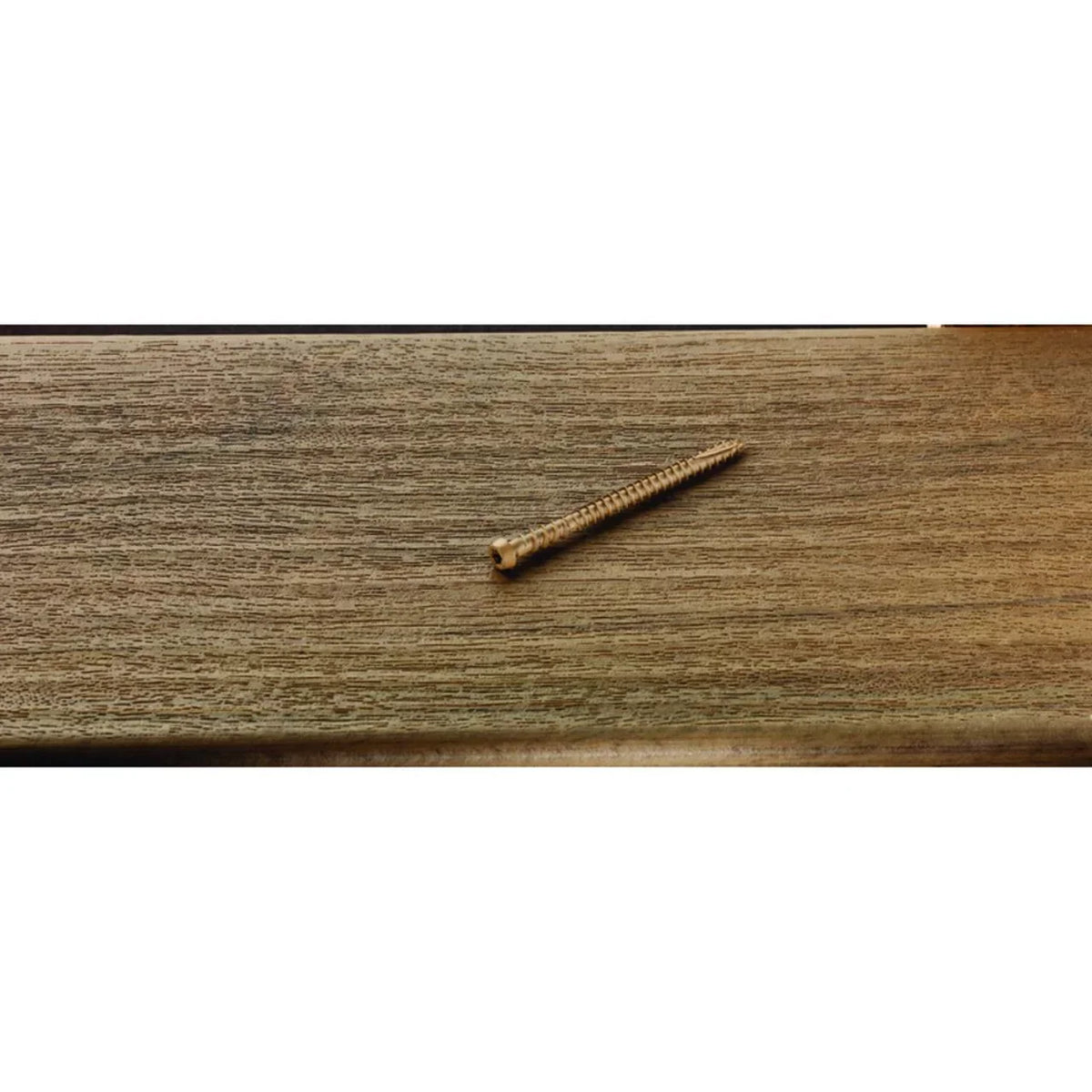 Star Undercut Head Epoxy Coated Carbon Steel Composite Deck Screws,. Starborn  No.10 x 2.75 in