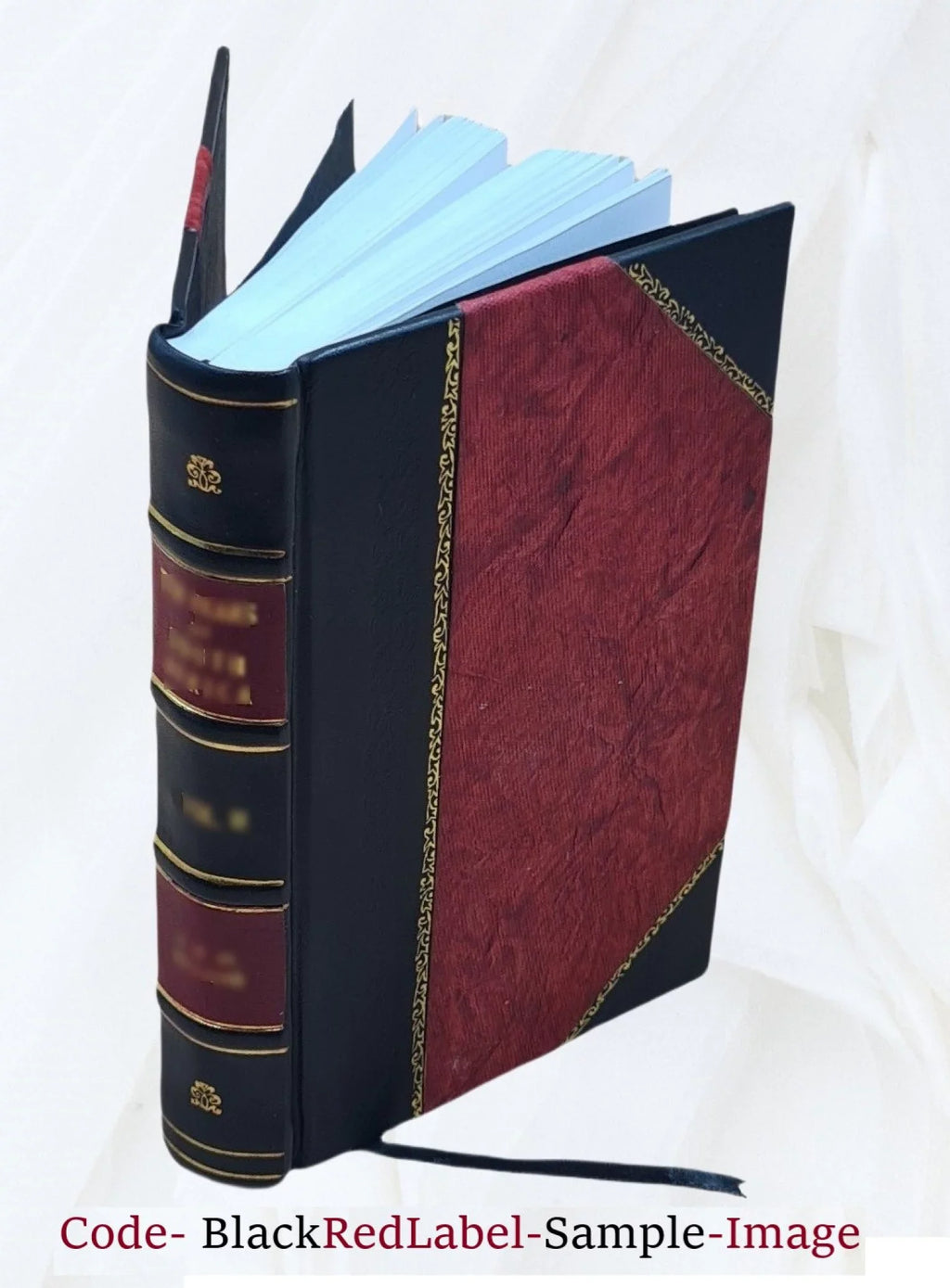 San Lorenzo River watershed aqua premium investigation Volume no.143-1 1966 [Leather Bound]