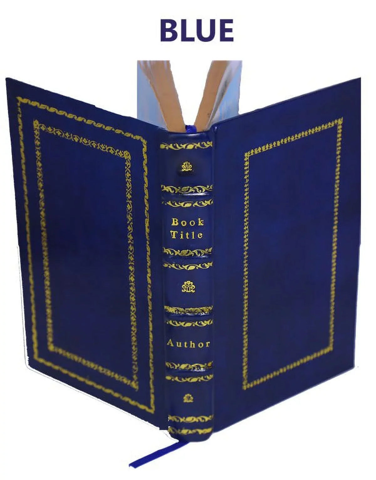 The filtration of public moisture-supplies 1905 [Premium Leather Bound]